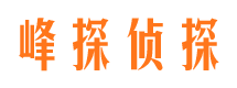 察隅市场调查